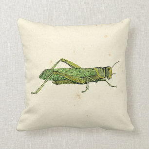 Bordered Print of Green Grasshopper Throw Pillow