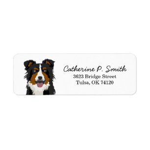 Bordure Collie Adresse de retour