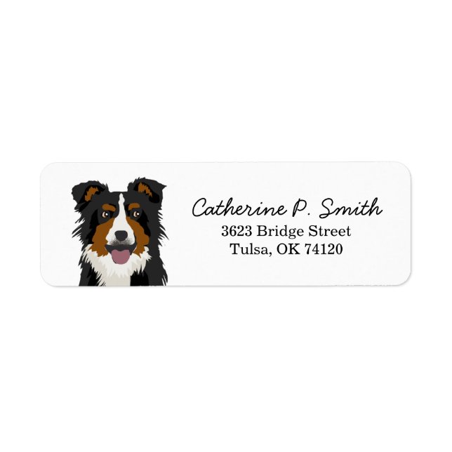 Bordure Collie Adresse de retour (Devant)