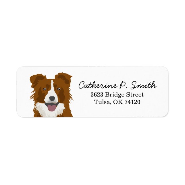Bordure Collie Adresse de retour (Devant)