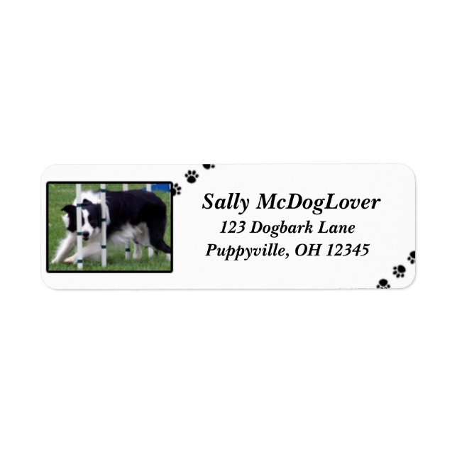 Bordure Collie Agilité (Devant)