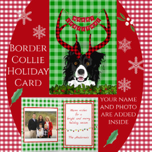 Bordure Collie avec Antlers Joyeuse carte de Noël