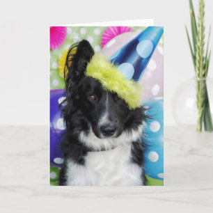 Bordure Collie Carte d'anniversaire