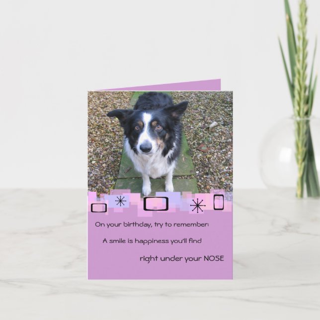 Bordure Collie Carte de voeux Anniversaire (Devant)