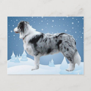 Bordure Collie carte postale~Noël