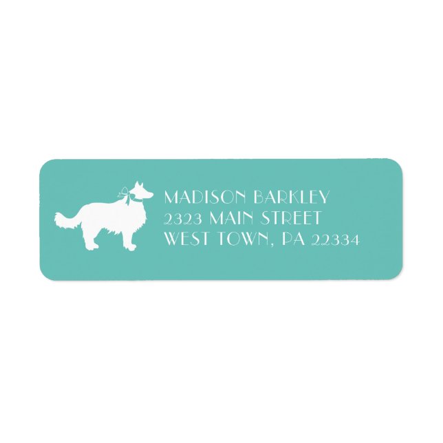 Bordure Collie Chien Chien Chien Puppy (Devant)