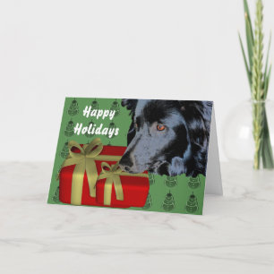 Bordure Collie Chien de Noël Carte de Noël