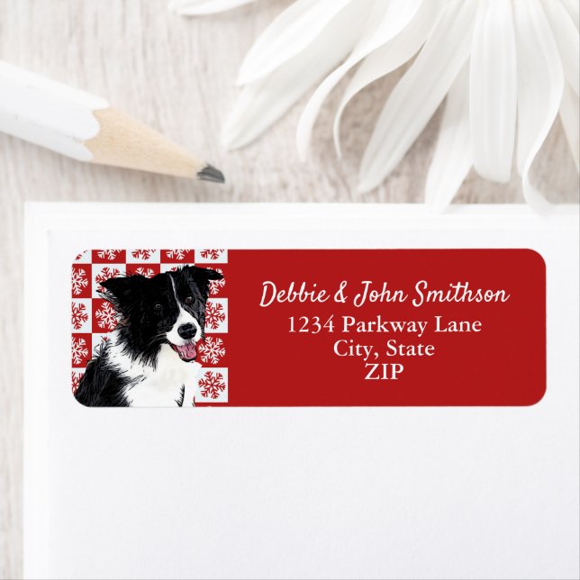 Bordure Collie Chien Retour Adresse Animal Christm (En situation)