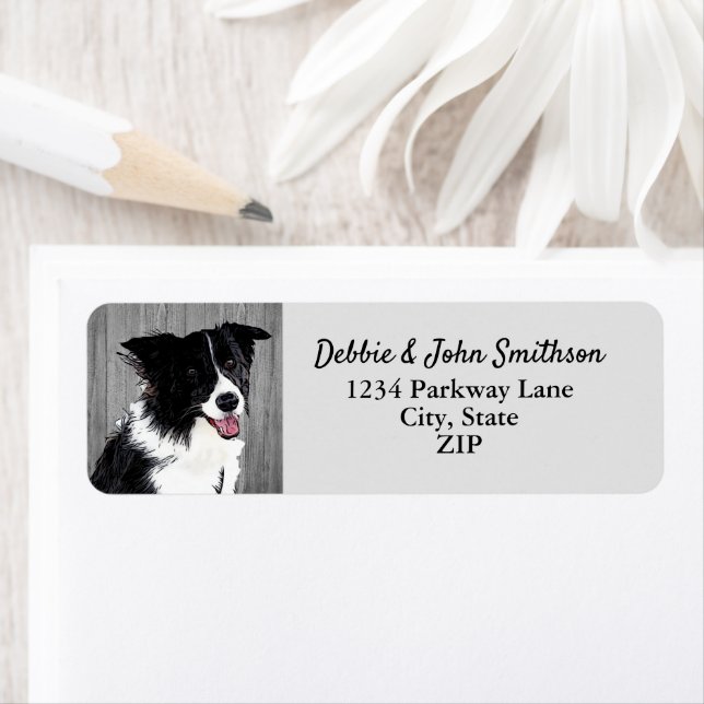 Bordure Collie Chien Retour Adresse Animal Cute La (En situation)