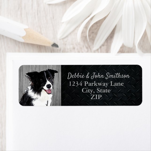 Bordure Collie Chien Retourner Adresse Animal Cute (En situation)