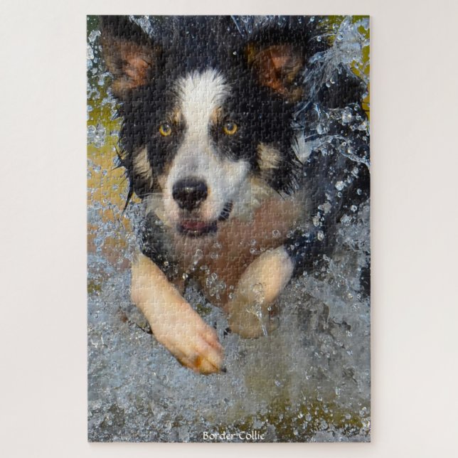 Bordure Collie Chiens. Jigsaw Puzzle (Vertical)