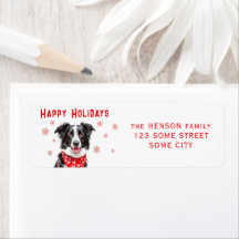 Bordure Collie Coeur rouge Bandana Adresse de reto