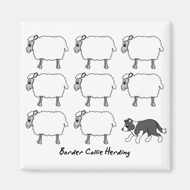 Bordure Collie Hébergement de mouton Magnet (Devant)
