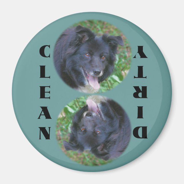 Bordure Collie Lave-vaisselle Magnet (Devant)