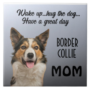 Bordure Collie Maman Carreaux céramique
