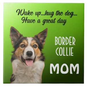 Bordure Collie Maman Carreaux céramique