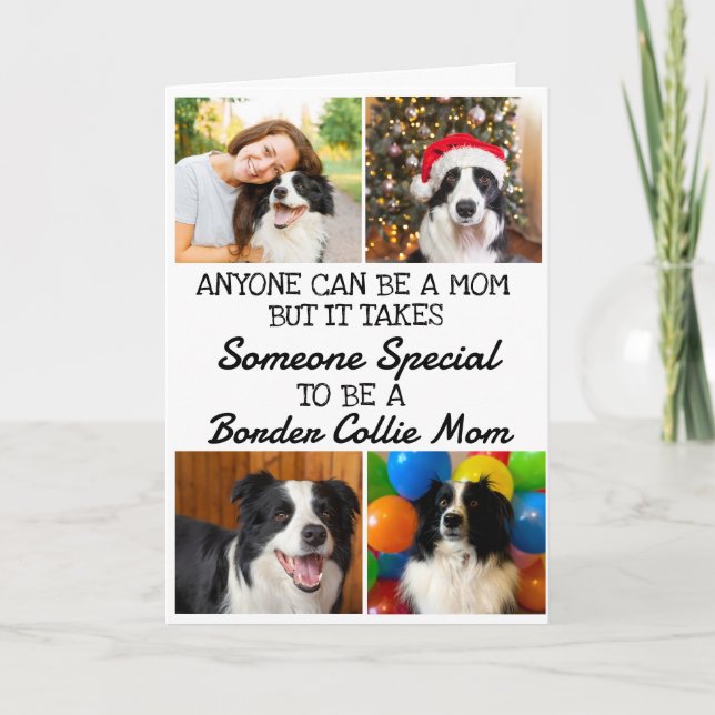 Bordure Collie...Meilleure carte mère (Devant)