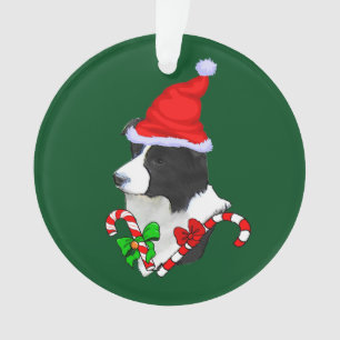 Bordure Collie Noël