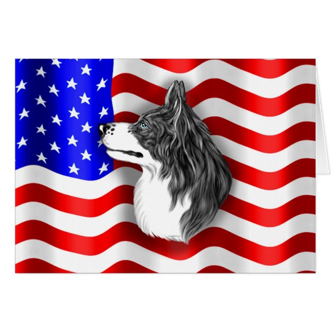 Bordure Collie Patriot (Devant horizontal)