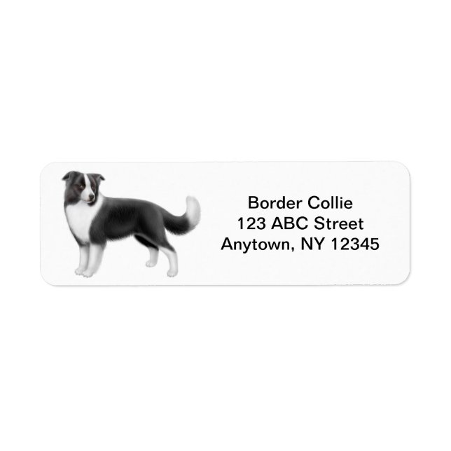 Bordure Collie personnalisable (Devant)