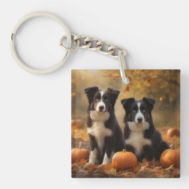 Bordure Collie Puppy Automne Citrouille de plaisir (Devant)