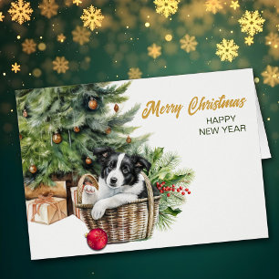 Bordure Collie Puppy Panier d'osier Noël