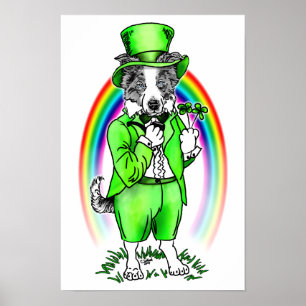 Bordure Collie St Patrick's Day Poster