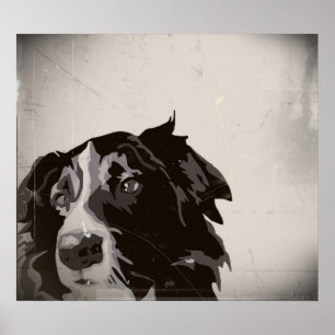 Bordure Collie urbain no 1 affiche d'art