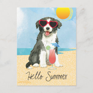 Bordure d'été Collie Carte postale