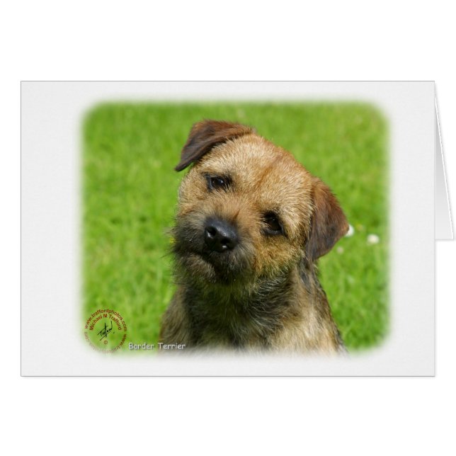 Bordure Terrier 9W009D-127 (Devant horizontal)