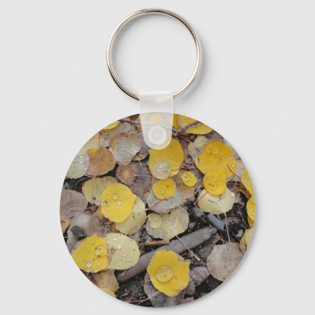 boreas pass aspens keychain (Front)