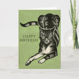 Bored Cat Drawing - Happy Birthday Or Whatever Card
