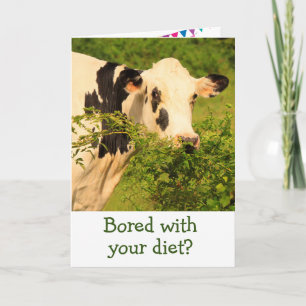 Bored Cow On A Diet Birthday Card