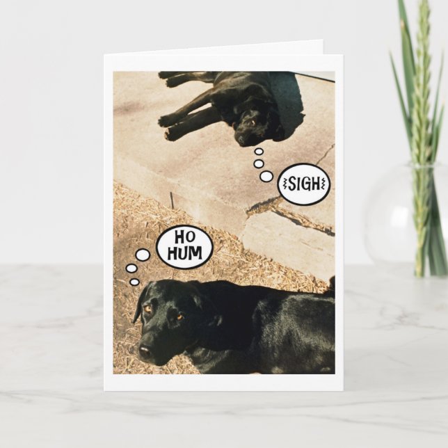 Bored doggies - We Miss You Card (Front)