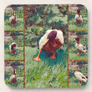 Bored Duck Photo Collage, Coaster Set