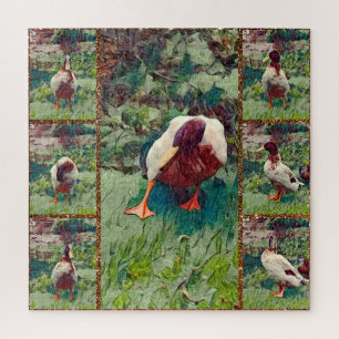 Bored Duck Photo Collage, Jigsaw Puzzle