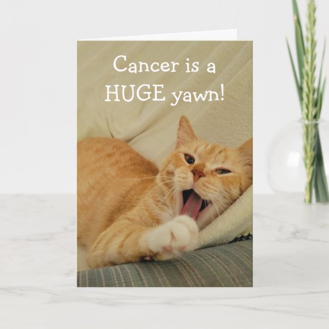 Bored With Cancer Funny Cat Card (Front)
