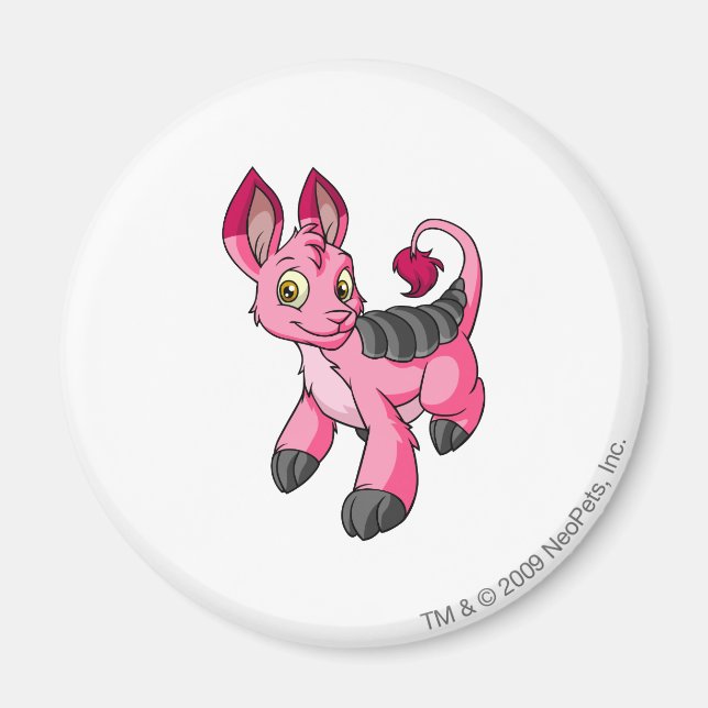 Bori Pink Magnet (Front)