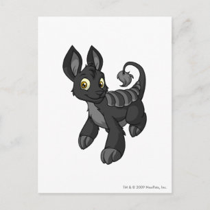 Bori Shadow Postcard