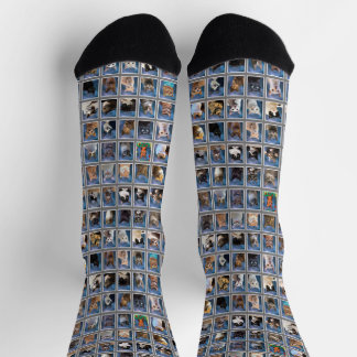 Boring Group Cat Yearbook Socks