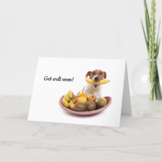 Boris - Jack Russell Terrier - Get well soon card