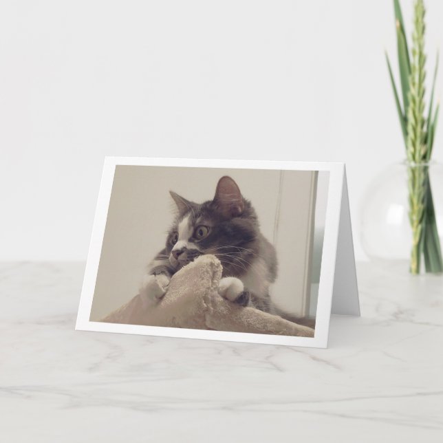 Boris the Cute Nubber Kitty Greeting Card (Front)