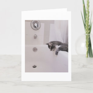 Boris the Cute Nubber Kitty Greeting Card