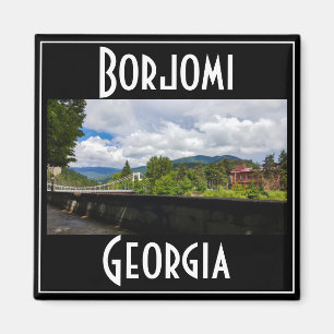Borjomi Hot Springs Resort Georgia Caucuses Magnet