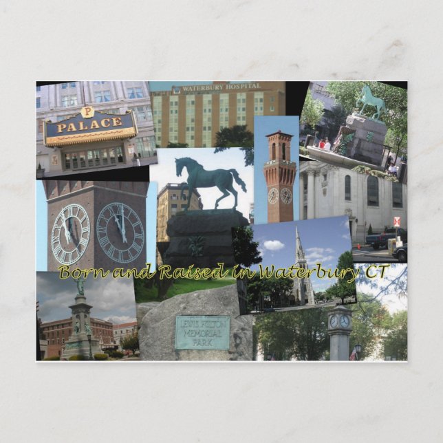 Born and Raised in Waterbury CT Postcard (Front)