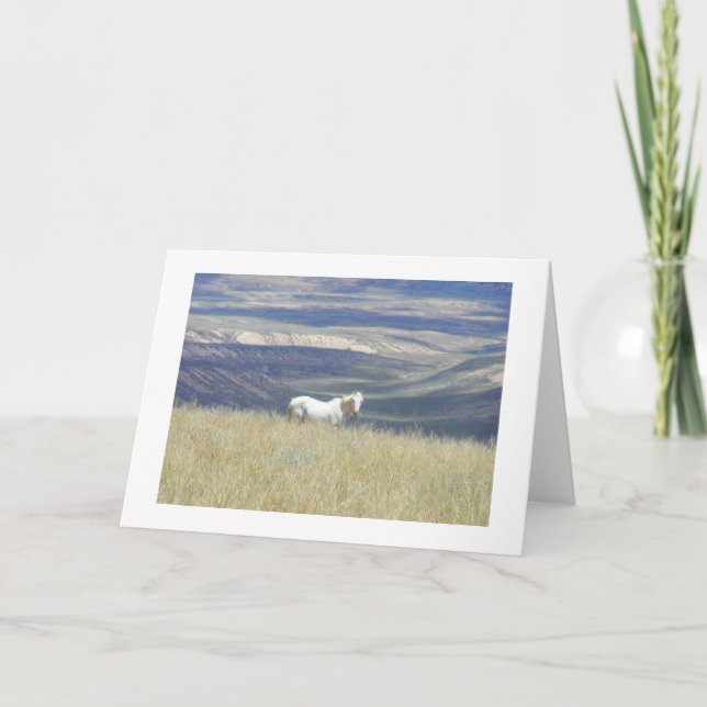 Born Free Mustang Horse Card (Front)