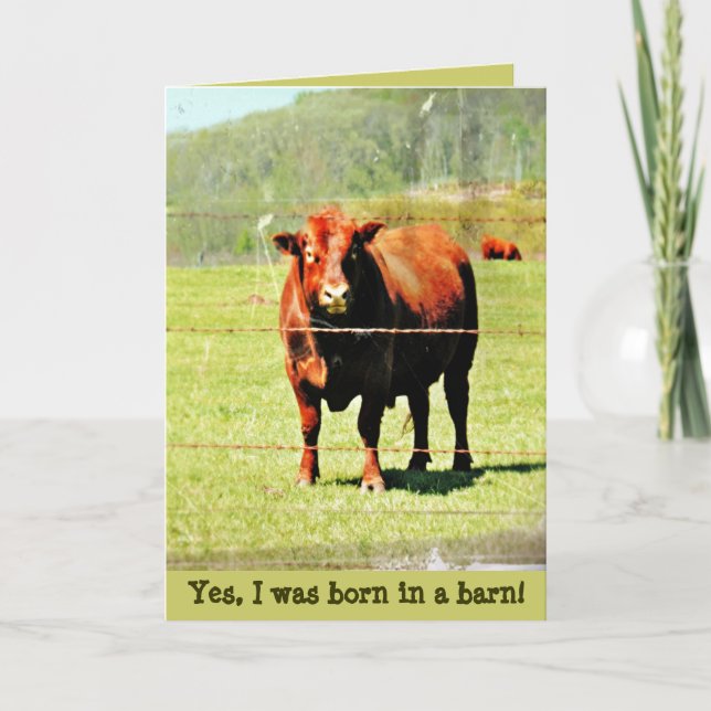 Born in a Barn Mother's Day Card (Front)