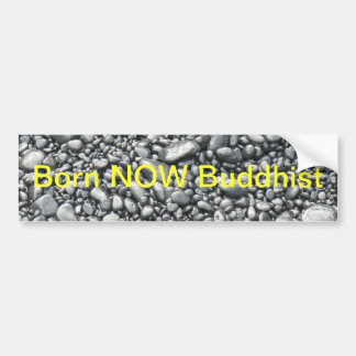 Born NOW Bumper sticker