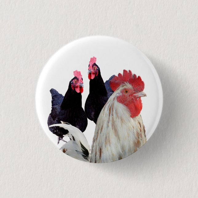 Born To Be Chickens, Badge 1 Inch Round Button (Front)