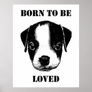 Born to be loved Illustration Poster